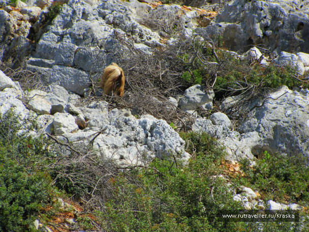 photo 27224