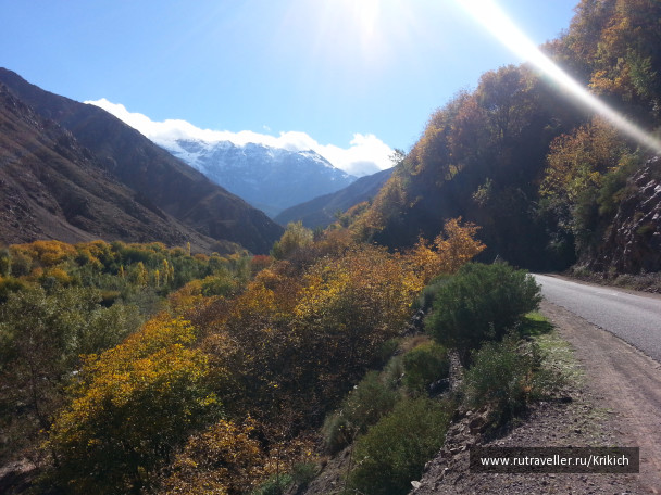 photo 1054763