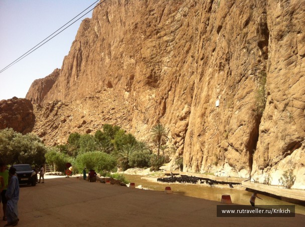 photo 1054764