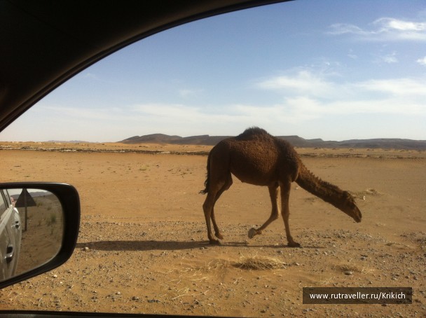 photo 1054765