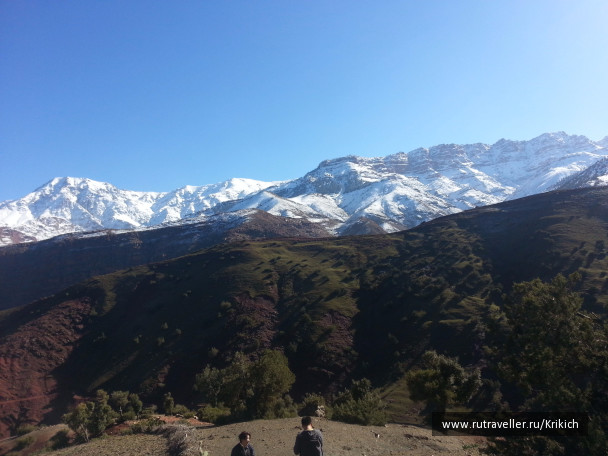 photo 1055492
