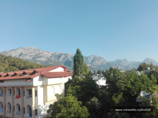 photo 1621543