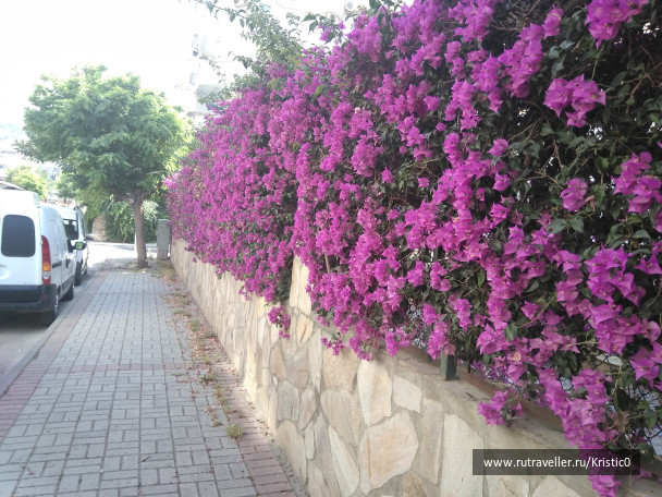 photo 1641467
