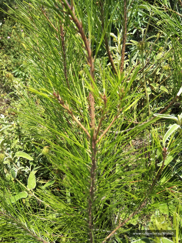 photo 1644344