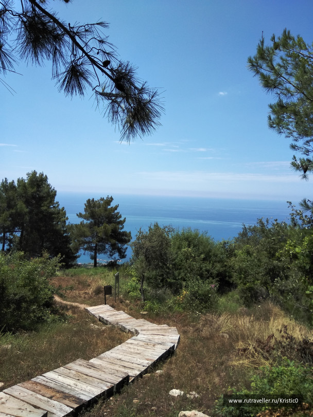 photo 1644354