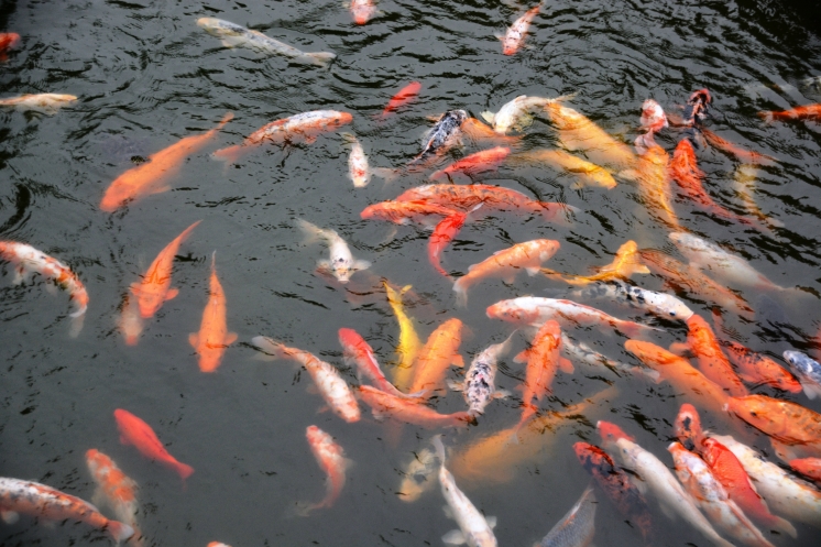    ,     ,     .         ,     ,   .     ' '  '  '.