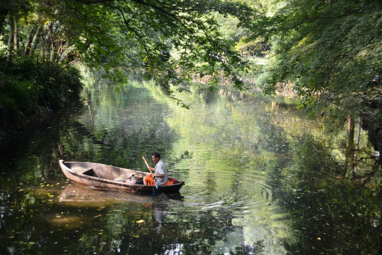    : '    ,     ,    '.