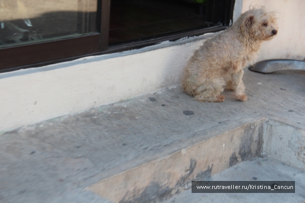 photo 751564