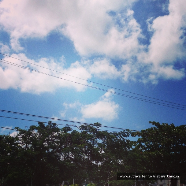 photo 751906
