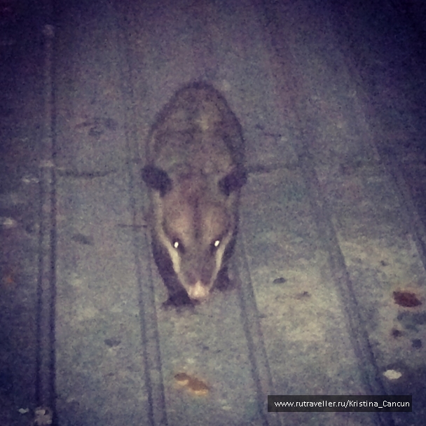 photo 751907