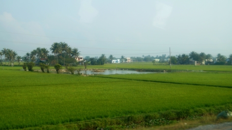 photo 734390