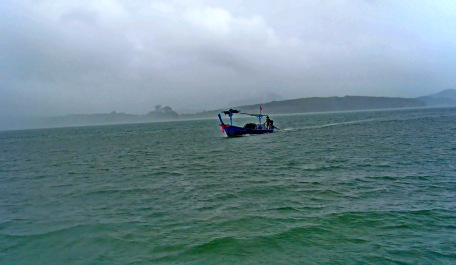 photo 1261262