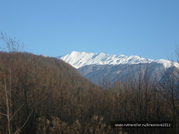 photo 791434