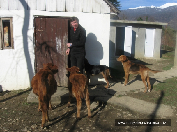 photo 791441