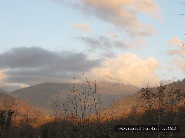 photo 791452