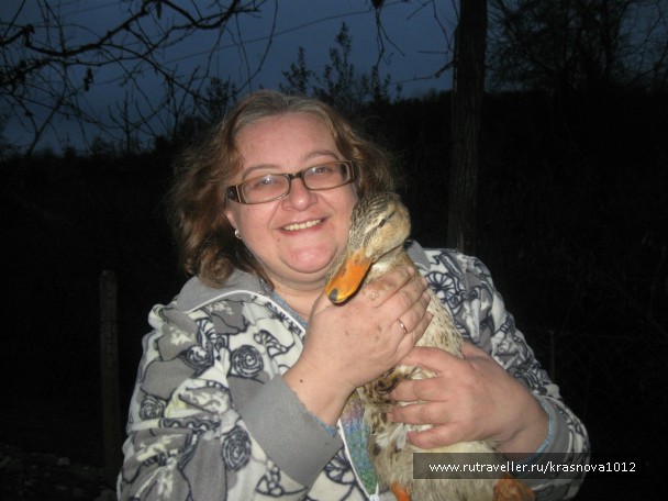 photo 791461