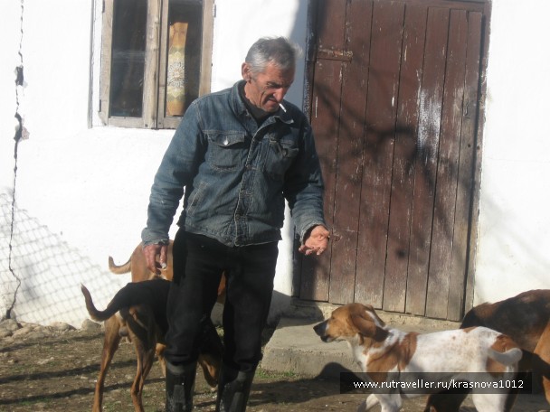 photo 791465