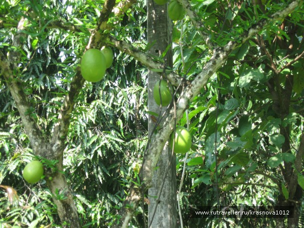 photo 791503