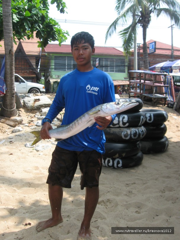 photo 791513