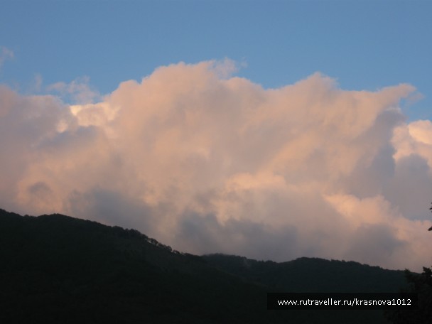 photo 803604