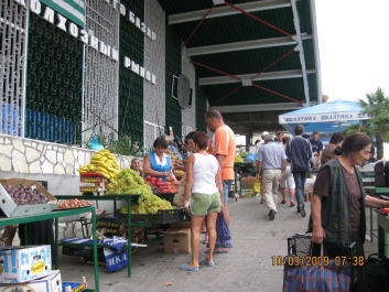 photo 803738