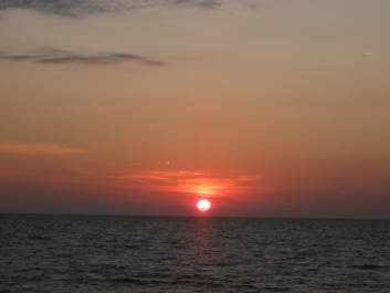 photo 816066