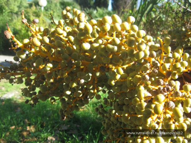 photo 921009