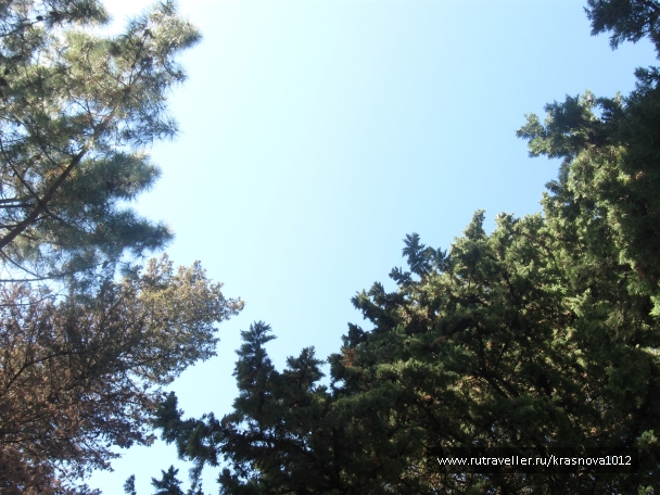 photo 921011