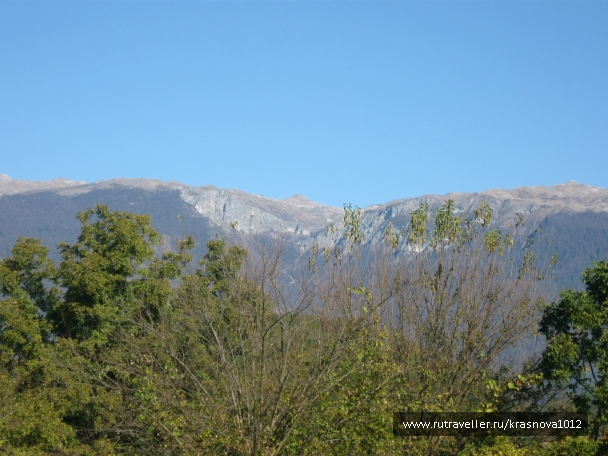 photo 921031