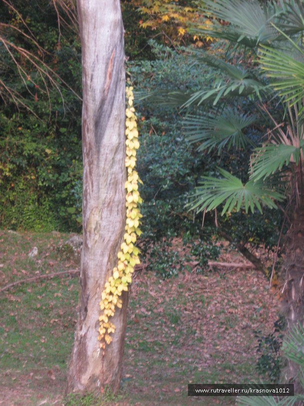 photo 921038