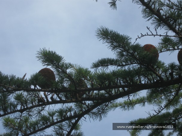 photo 921048