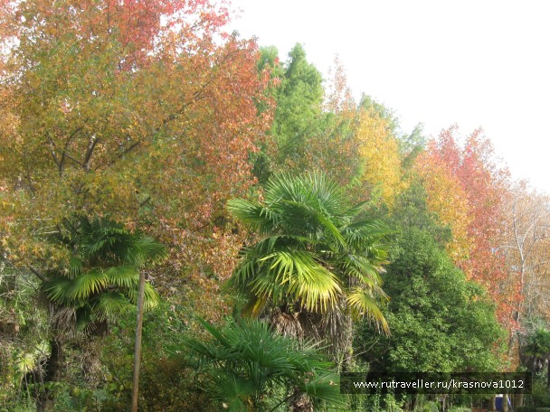 photo 921057