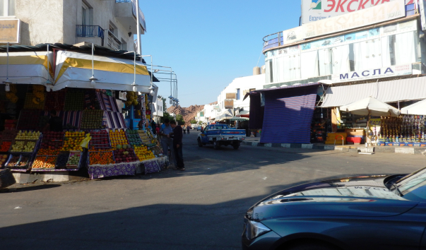 DSCN0231
