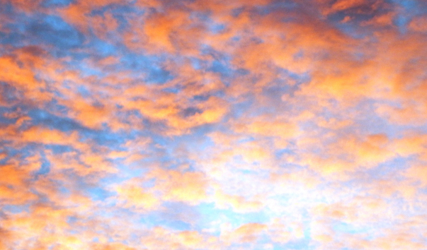 DSCN0443