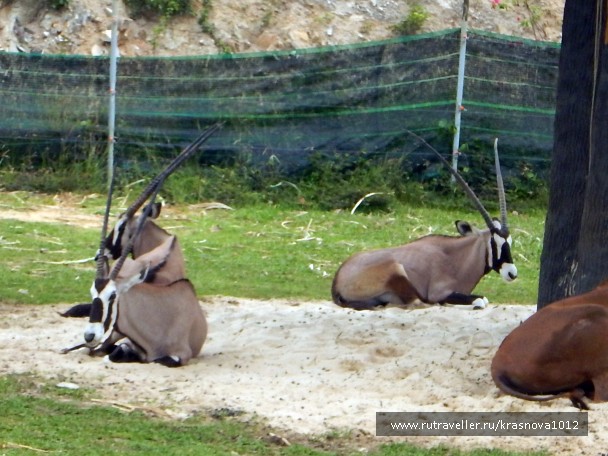 photo 1561694