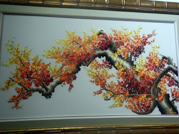 photo 1562158