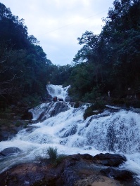 photo 1562687