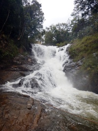 photo 1563246