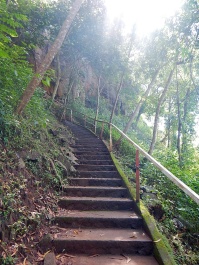 photo 1566492