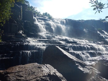 photo 1566495