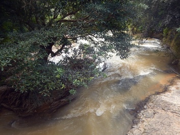photo 1566514