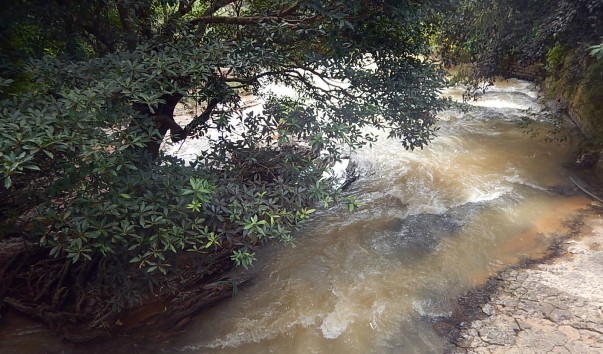 DSCN3927