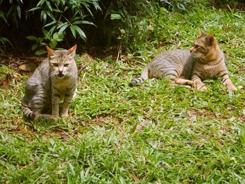 photo 1566516