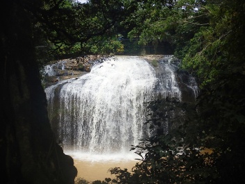 photo 1566518