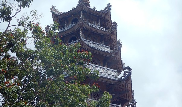 DSCN3929