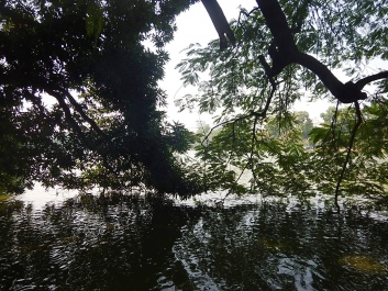 photo 1575378