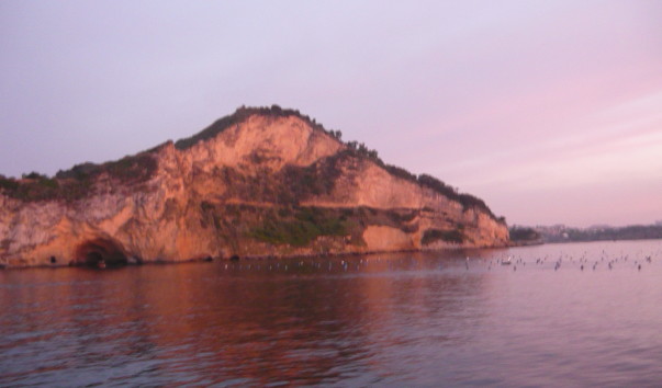 P1050836