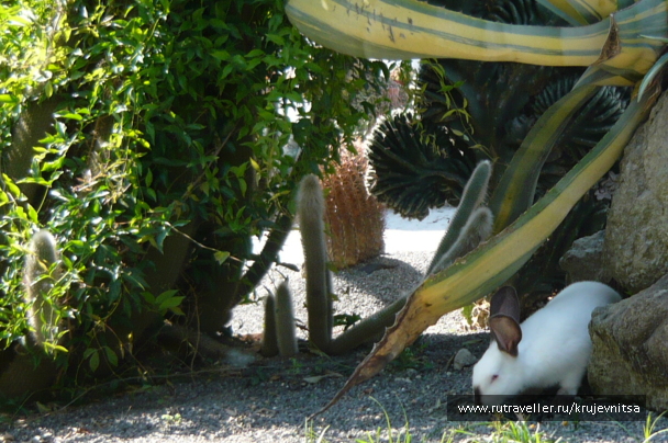 photo 1081346