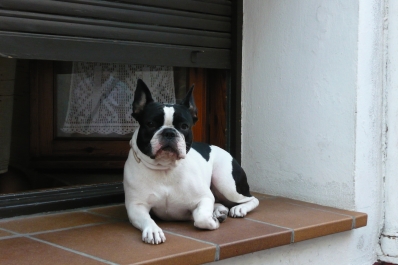 photo 1096112