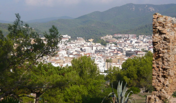 P1010975